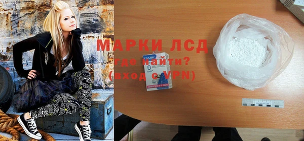 индика Абаза