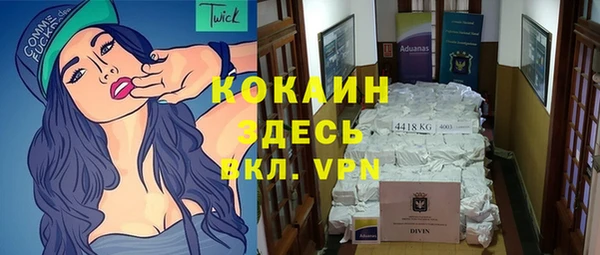 индика Абаза